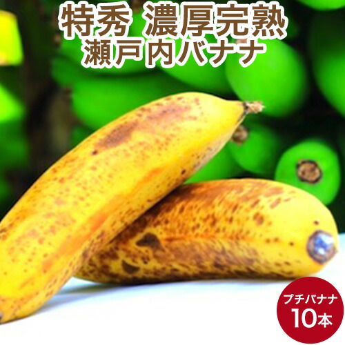 【特秀品】瀬戸内バナナ 10本 小さめサイズ 岡山県産 無農薬 国産バナナ 送料無料 ギフト 【予約販売】