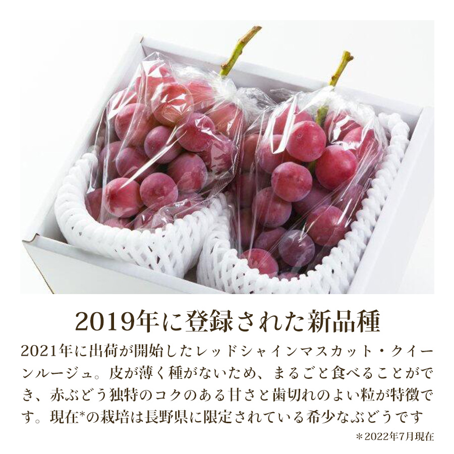 殿堂 秀品 レッドシャインマスカット クイーンルージュ 2房 約1kg 長野県産 ぶどう 葡萄 送料無料 ギフト 贈答用 化粧箱入り 産地直送  fucoa.cl