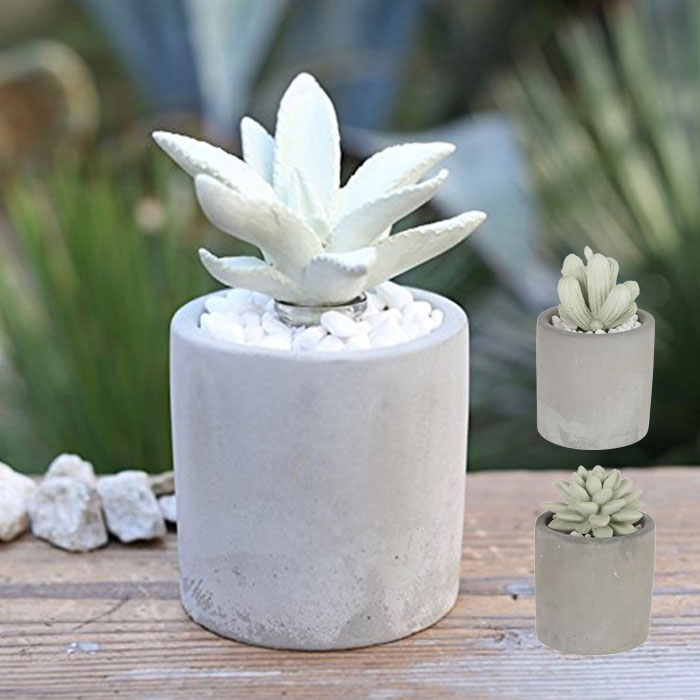 楽天市場 アロエ フレグランス ディフューザー アロマディフューザー 多肉植物 Dulton ダルトン アロマオイル ルームフレグランス 香り 芳香剤 アロマグッズ カクタス 部屋 ガラス 玄関 寝室 洗面所 トイレ Monolog