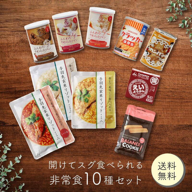 非常食セット 非常食 保存食 防災 防災食セット防災 食品 防災グッズ 開けてすぐ食べれる 非常食１０種セット ３日分 1人３日分 防災用品 防災食品 長期保存 備蓄 5年 ５年保存 賞味期限 アウトドア 災害 地震 避難グッズ ★