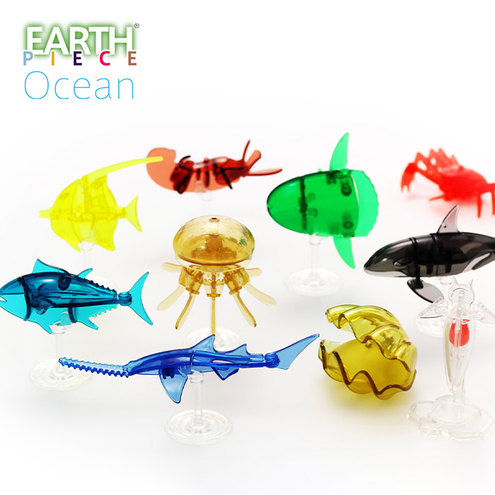 楽天市場】地球生命紀行タラバガニ＆日本近海の魚たち 全7種