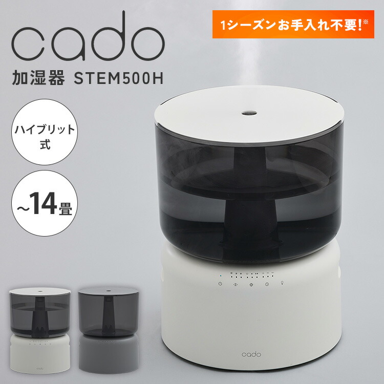 楽天市場】[12/5限定 抽選で最大100％ポイントバック＆最大2000円OFF