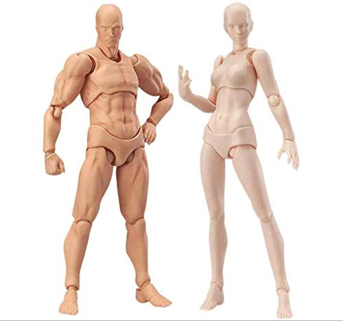 楽天市場 モデル人形 デッサン 人形 男と女 関節人形 素体 可動フィギュア 13 15cm 男と女 Mons Online Shop