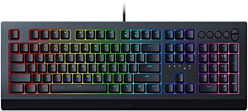 数量限定 特売 Razer Cynosa V2 ゲーミングキーボード 英語us配列 メンブレン 静音 個別バックライトキー Chroma Rgb 防滴設計 日本正規代理店保証品 Rz03 R3m1 豪華 Reflectunt Cevad Net