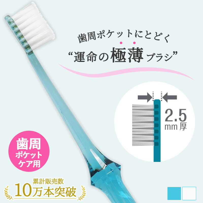 楽天市場】【20～26日限定P2倍・お得クーポンも！】歯周ポケット