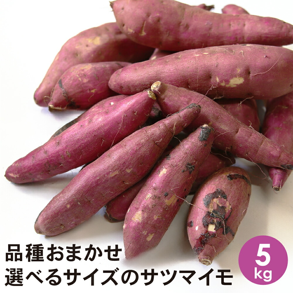 楽天市場】品種おまかせ さつまいも サイズ選択可能 2kg 【2