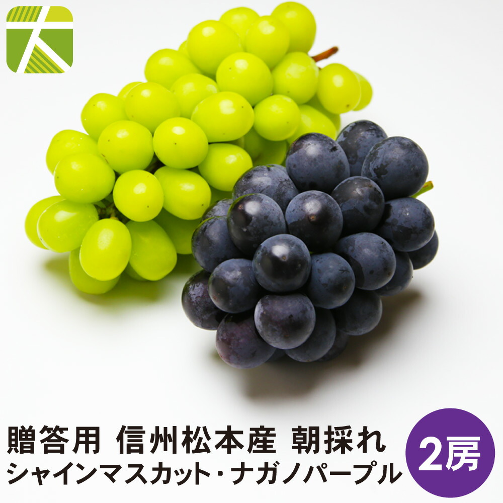 シャインマスカット♡富士の輝き♡マイハート♡ナガノパープル♡箱込み2.5kg♡ 5178604755.jpg