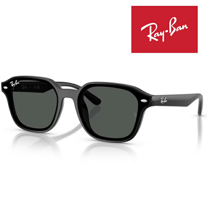 RayBan レイバン サングラス メガネフレーム 65□18 ブラック ダークグレー RB4458D 601/87 フラットレンズ クロス付き レイバン純正メガネケース付き 国内正規品