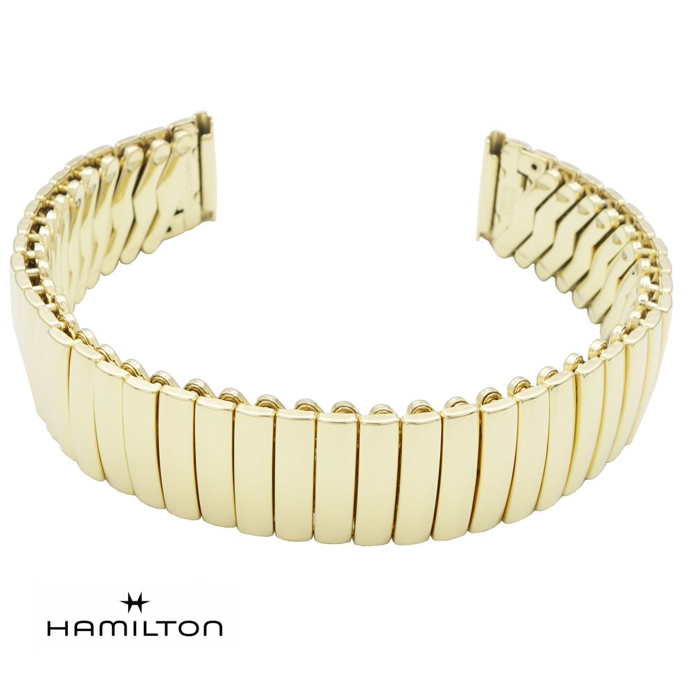 楽天市場】ハミルトン HAMILTON ベンチュラ用 純正フレックス