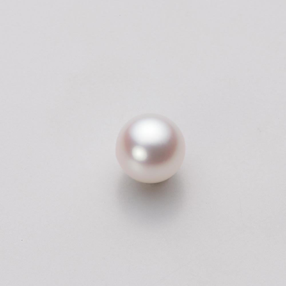 【楽天市場】パール イヤリング あこや真珠 7.0mm アコヤ 真珠 イヤリング Pt900 プラチナ レディース