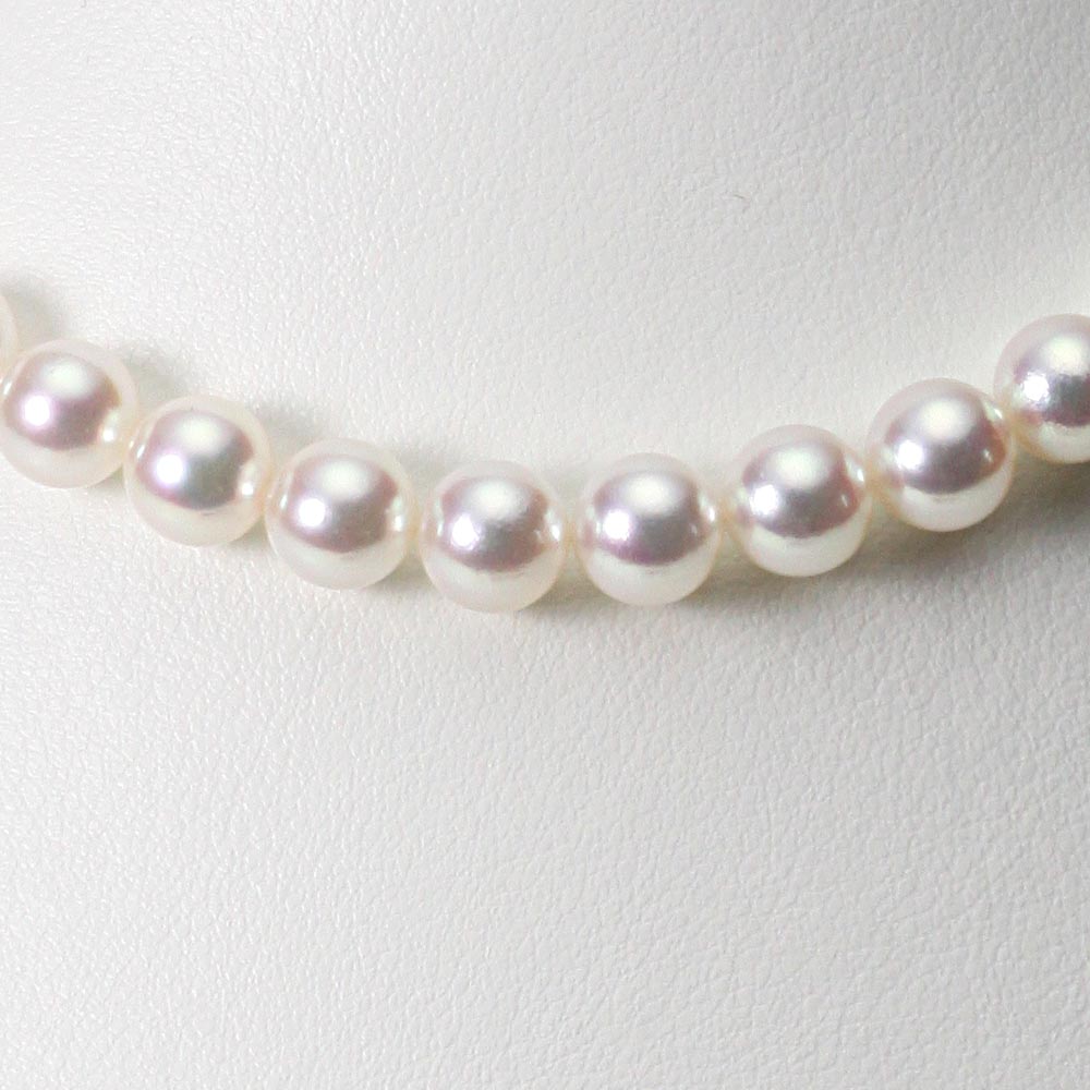 Ascam本真珠 ネックレス　8.0-8.5mm 楽天市場】パール ネックレス あこや真珠 8.5mm アコヤ 真珠 パール