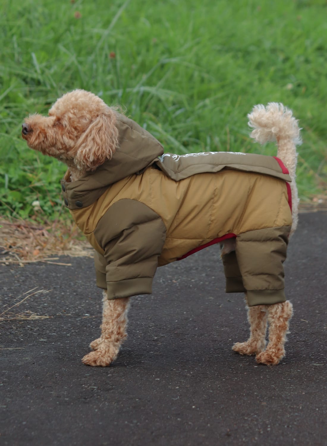 20％OFF SALE セール】Snow Peak(スノーピーク)SP Dog Down Jacket(SP