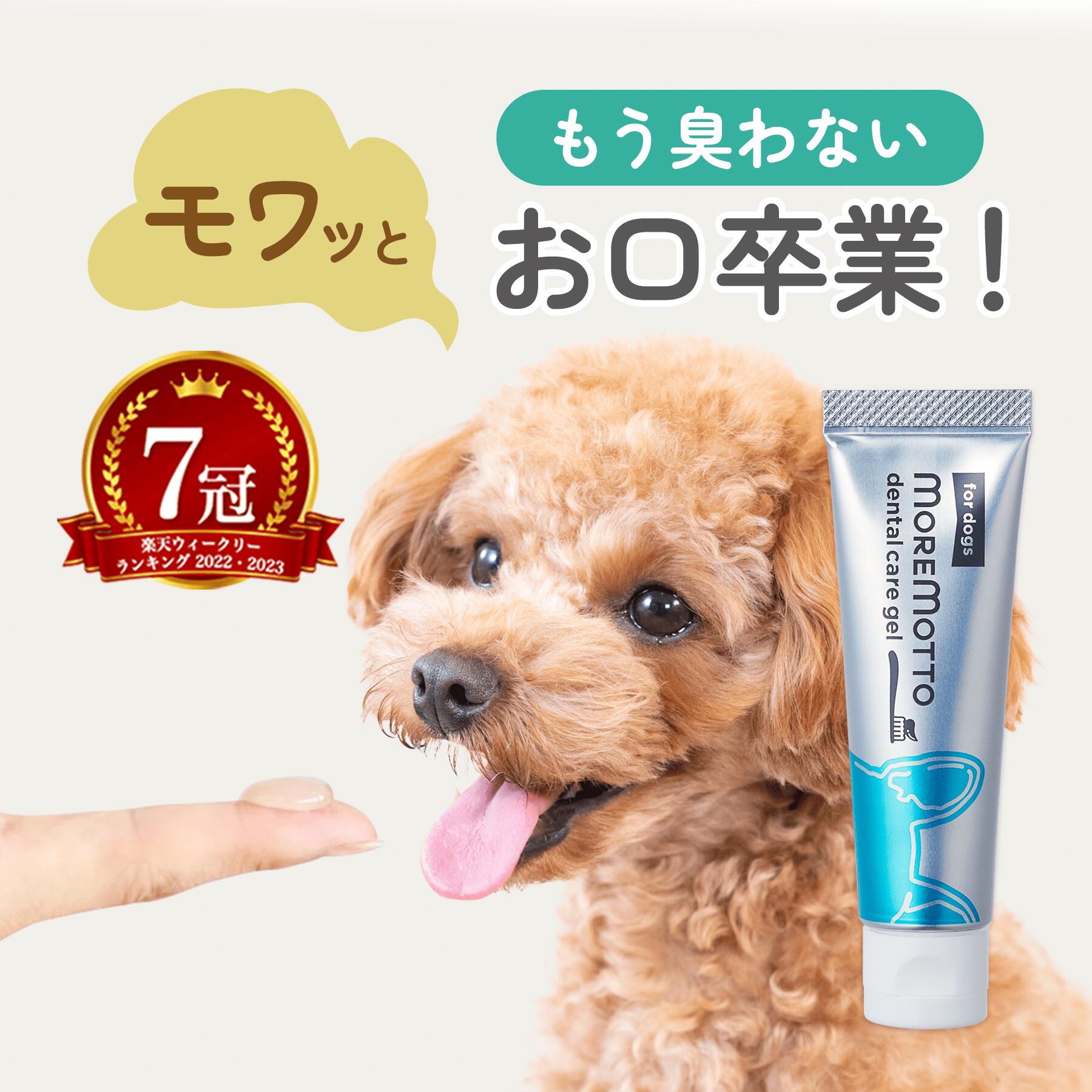 【動物病院 監修 】 犬 歯磨き 歯磨き粉 デンタルケアジェル 30 g ( 1か月分 ) 犬用歯磨き粉 歯磨きジェル 歯垢除去 口腔ケア 飲み込んでも大丈夫 歯垢 口臭 デンタルケア 犬用歯磨き粉 犬用歯磨き