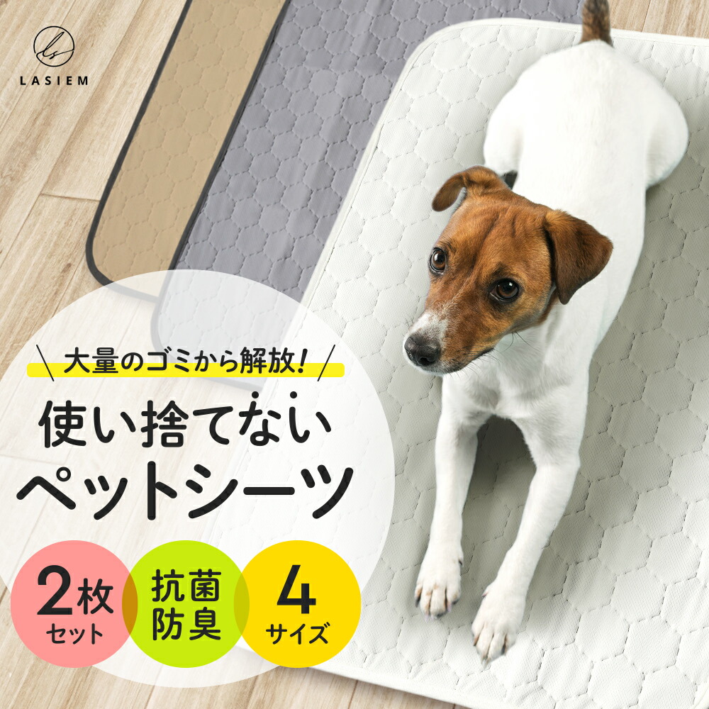 楽天市場】＼USBタイプC／LASIEM 光る首輪 犬 散歩 ライト 視認