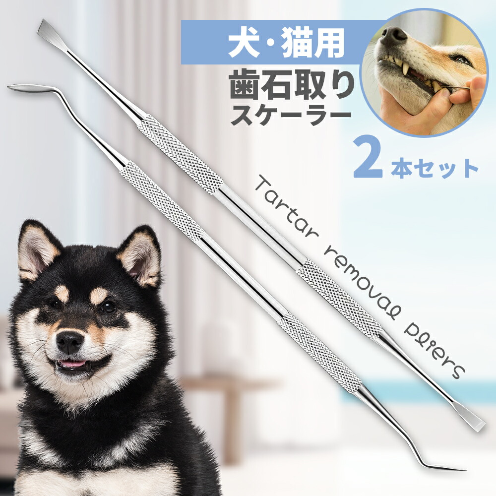 犬　歯石とりセット unite10-31.jpg