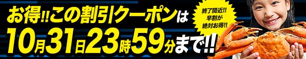 楽天市場】エイヒレ 185g コラーゲンたっぷり 低カロリー おつまみ メール便送料無料 調味干しランダムカット済み ギフト お歳暮 ハロウィン  お取り寄せグルメ 食品 ギフト ポイント消化 : 食の達人森源商店