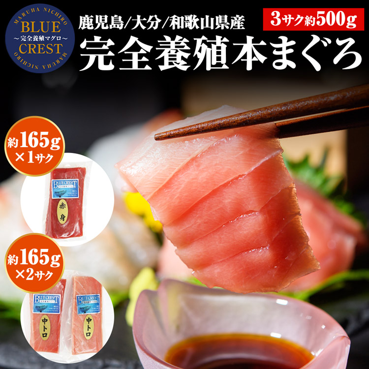 マグロ様　確認用 000000000113-11-l.jpg?t=