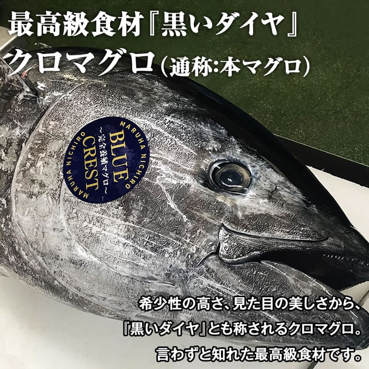 商い 本まぐろ 産地直送 完全養殖 3サク約500g 赤身1中トロ2 クロマグロ 本マグロ 鮪 マルハニチロ BLUE CREST 産直 送料無料  冷凍便 同梱不可 指定日不可 御中元 お中元 ギフト お取り寄せグルメ 食品 qdtek.vn