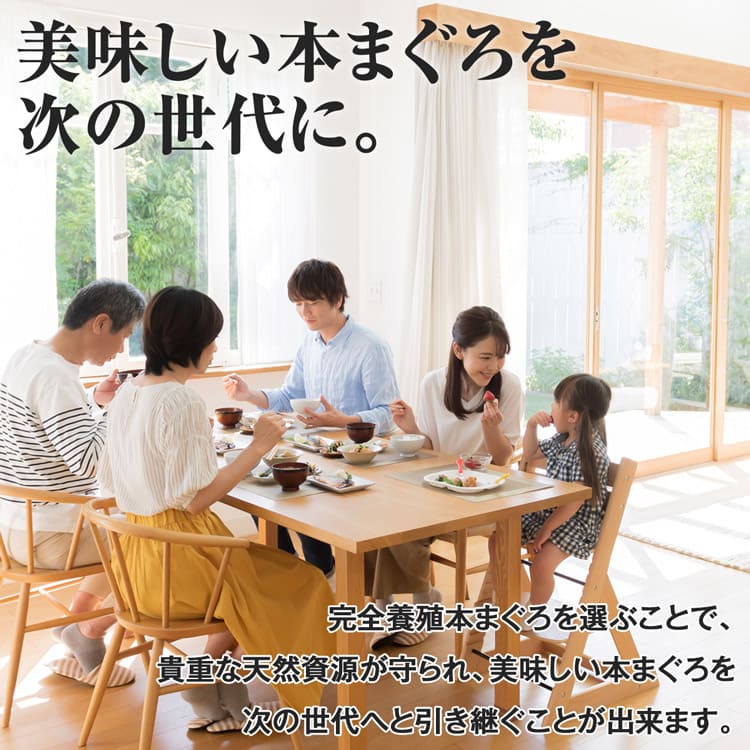 正規品新品未使用品 本まぐろ 産地直送 完全養殖 3サク約500g 赤身1中トロ2 クロマグロ 本マグロ 鮪 マルハニチロ Blue Crest 産直 送料無料 冷凍便 同梱不可 指定日不可 御中元 お中元 ギフト お取り寄せグルメ 食品 Qdtek Vn