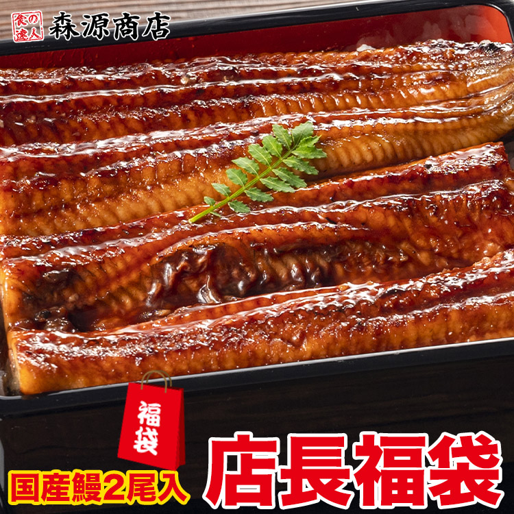 国産鰻2尾が絶対入ってる！店長おまかせ福袋 食品ロス削減 海鮮 冷凍食品 福袋 食品 母の日 ギフト プレゼント