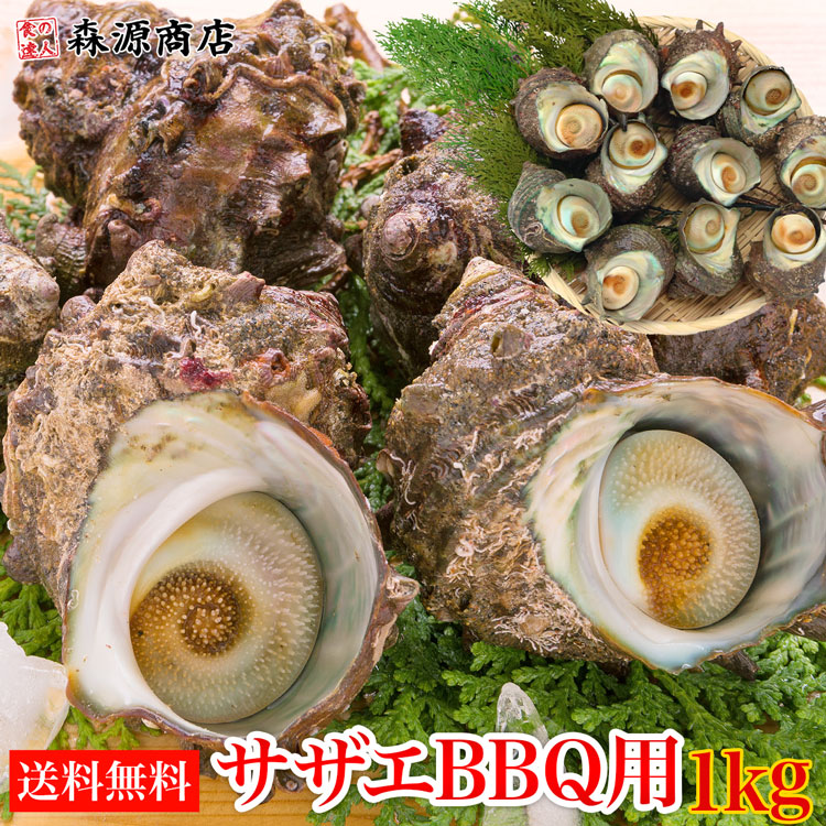 サザエ q用 1kg 8 13個 さざえ つぼ焼き 中サイズ 海鮮 魚介 バーベキュー 送料無料 同梱不可 冷蔵配送 q お取り寄せグルメ 食品 ギフト