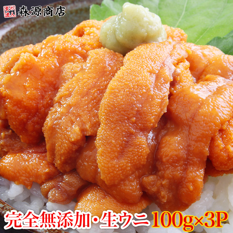 生うに 100g×3パック 完全無添加 みょうばん不使用 ブランチング処理済 お刺身用 生 Aグレード ウニ うに 雲丹 冷凍 母の日 ギフト プレゼント