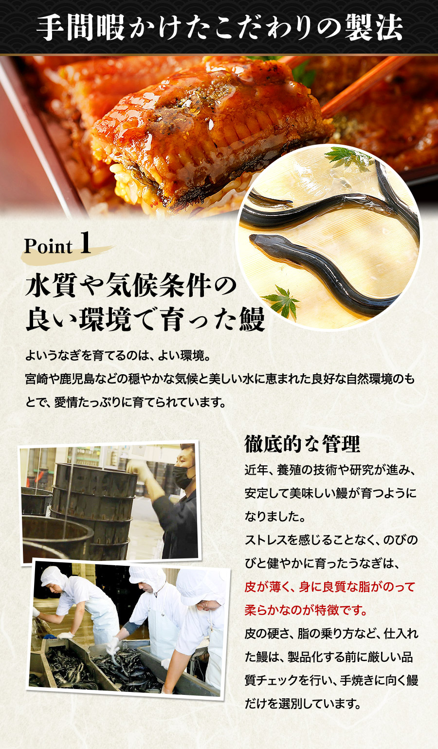 うなぎ国産2尾約130g×2本鰻父の日ギフト配送受付中風呂敷包み九州産手焼き炭火焼き鰻ウナギ蒲焼かば焼き土用丑土用丑の日スタミナ夏冷凍便お取り寄せグルメ食品ギフト【あす楽】