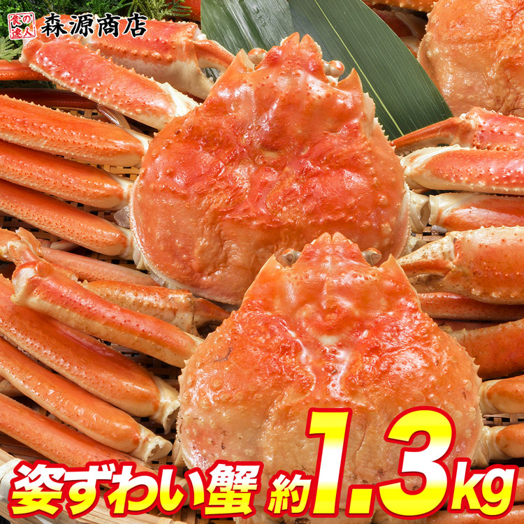 カナダ産 ボイル済み 姿ずわい2尾 約1.3kg（1.2kg～1.4kg） 見舞い ズワイガニ ずわい蟹 カニ味噌 かにみそ 蟹味噌 ギフト プレゼント