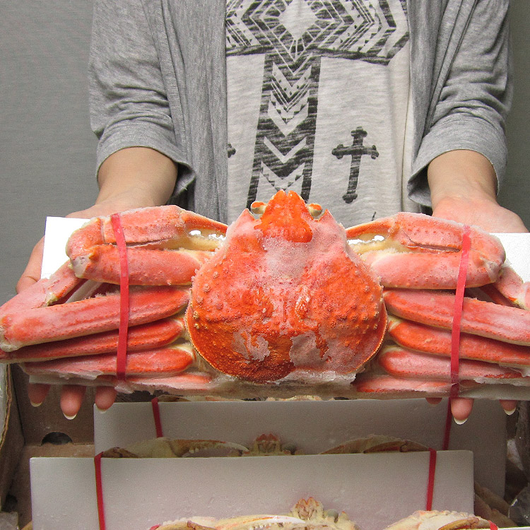 【楽天市場】かに 蟹 カニ 高級カナダ産 特大 ボイル済み 姿ずわい蟹2尾セット約1.4kg 送料無料 お取り寄せグルメ ギフト：食の達人森源商店