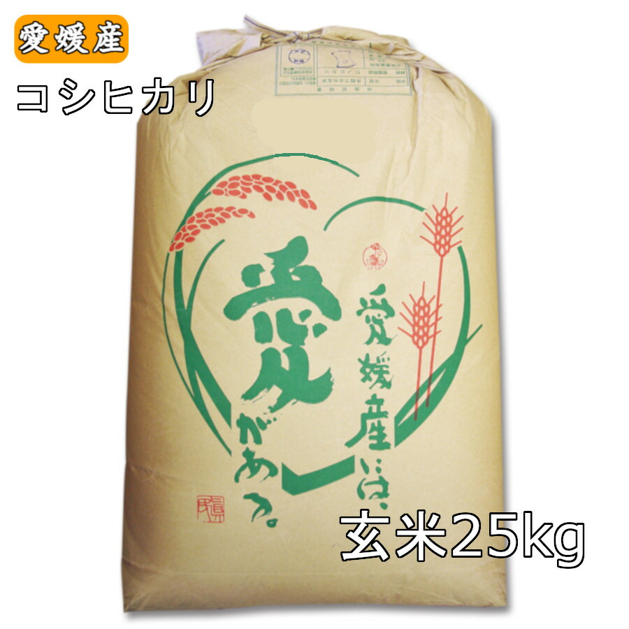 楽天市場】ランキング受賞 米 10kg 「愛媛県産ひのひかり10kg