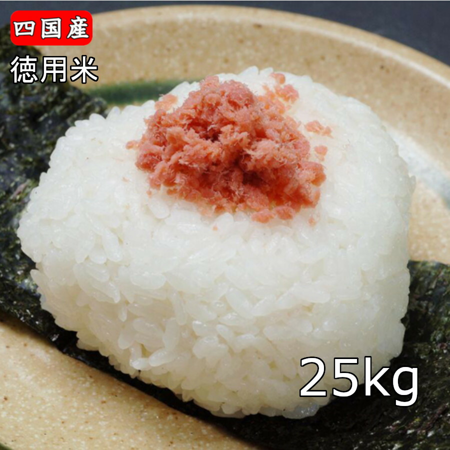 米 送料無料 「徳用米25kg (10kg×2+5kg)」 ブレンド米 ※北海道.東北.沖縄 配送不可