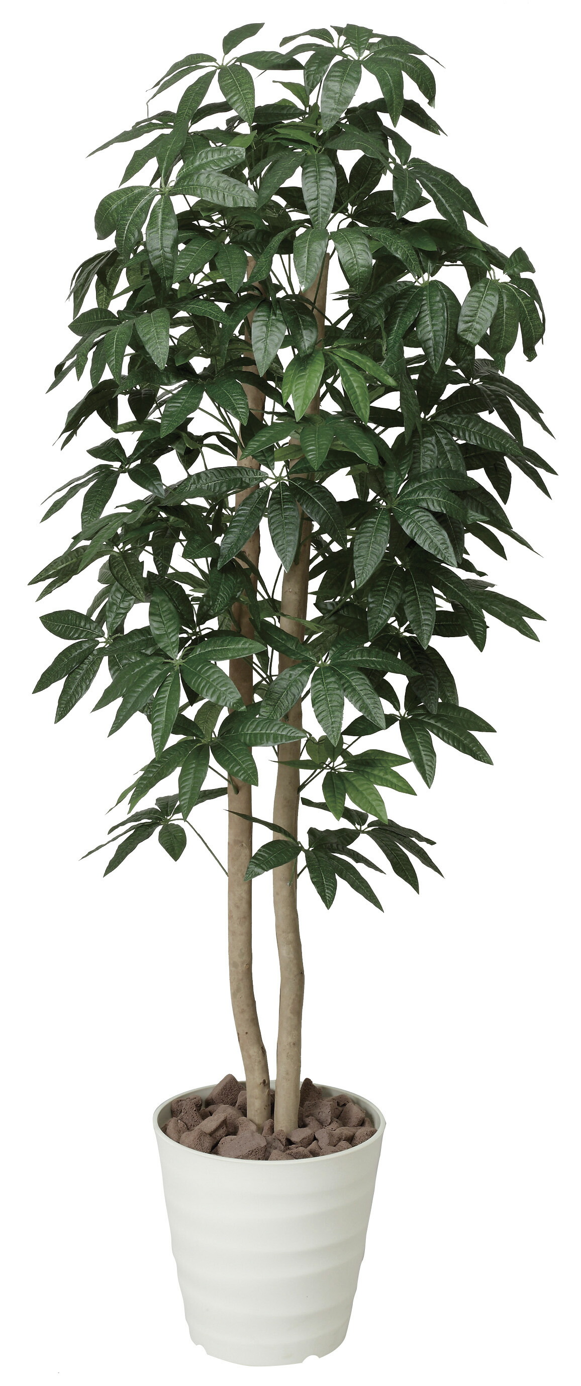 楽天市場】光触媒観葉植物 パキラリーフツリー72 〔フロアタイプ