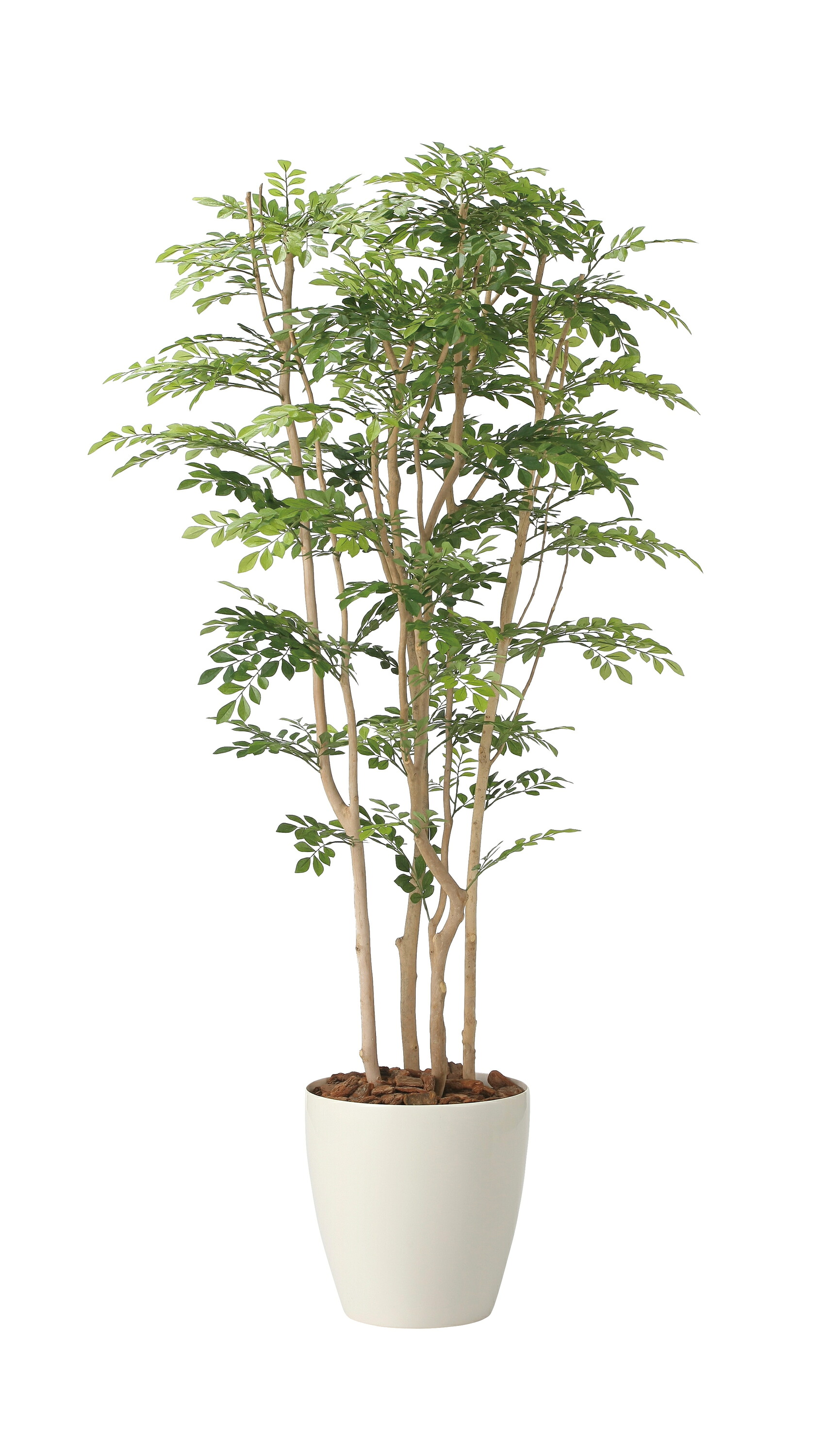 人工観葉植物 造花 業務用 施設 オフィス 店舗 装飾 フェイク グリーン リアル 飾り ツートントネリコ1.8m 光触媒人工植物 フロアタイプ グリーンシリーズ ナチュラル感 リラックス 癒し 消臭 抗菌 防汚 アートグリーン