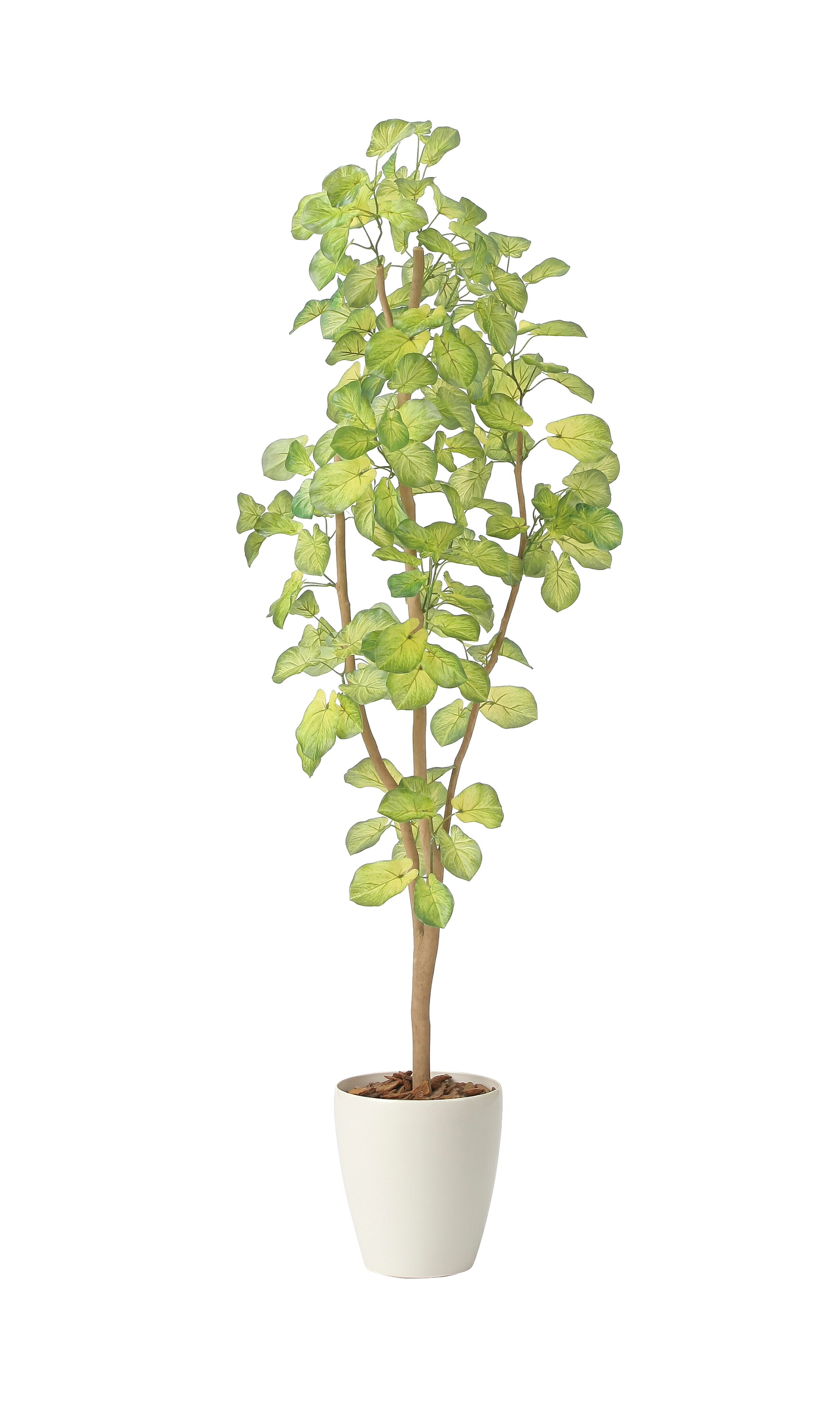 楽天市場】インテリア フェイクグリーン・人工観葉植物 スリム 