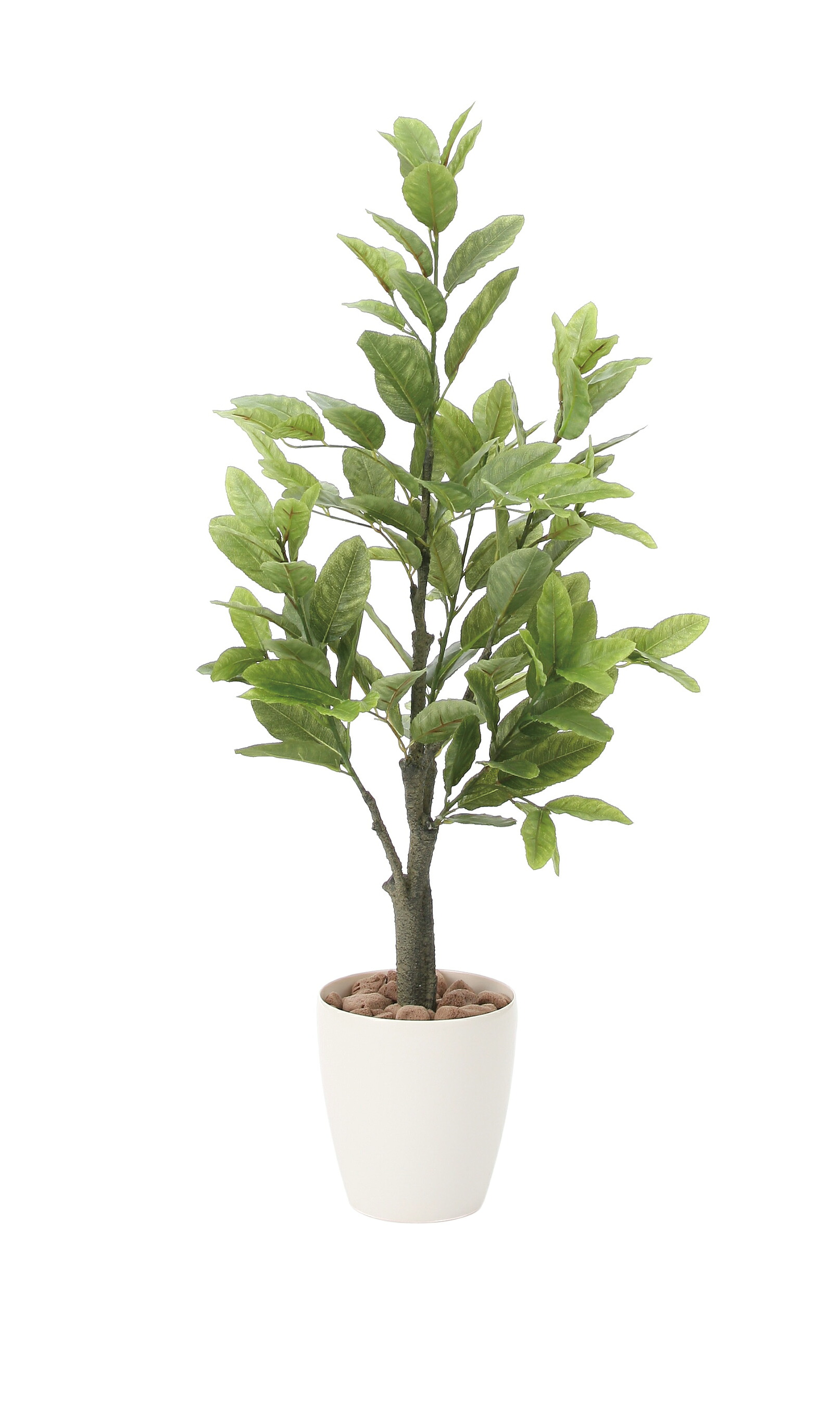 人工観葉植物 レモン 1.0m 光触媒加工 フェイクグリーン アートグリーン フロアタイプ リアル質感 室内装飾 店舗装飾 オフィス 施設 業務用 ナチュラルグリーン 癒し 消臭 抗菌 防汚 インテリアグリーン 送料無料｜プラスワンインテリア 13,320円