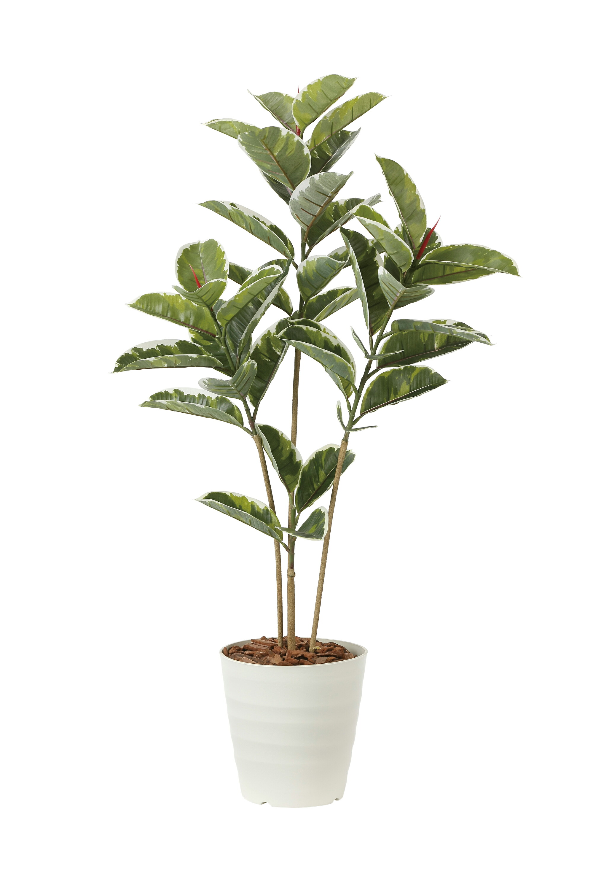 人工観葉植物 アルテシマ 1.2m 光触媒加工 フェイクグリーン アートグリーン 造花 フロアタイプ 店舗装飾 室内装飾 オフィス 業務用 施設用 ナチュラルグリーン 癒し 抗菌 消臭 防汚 リアル質感 送料無料｜プラスワンインテリア