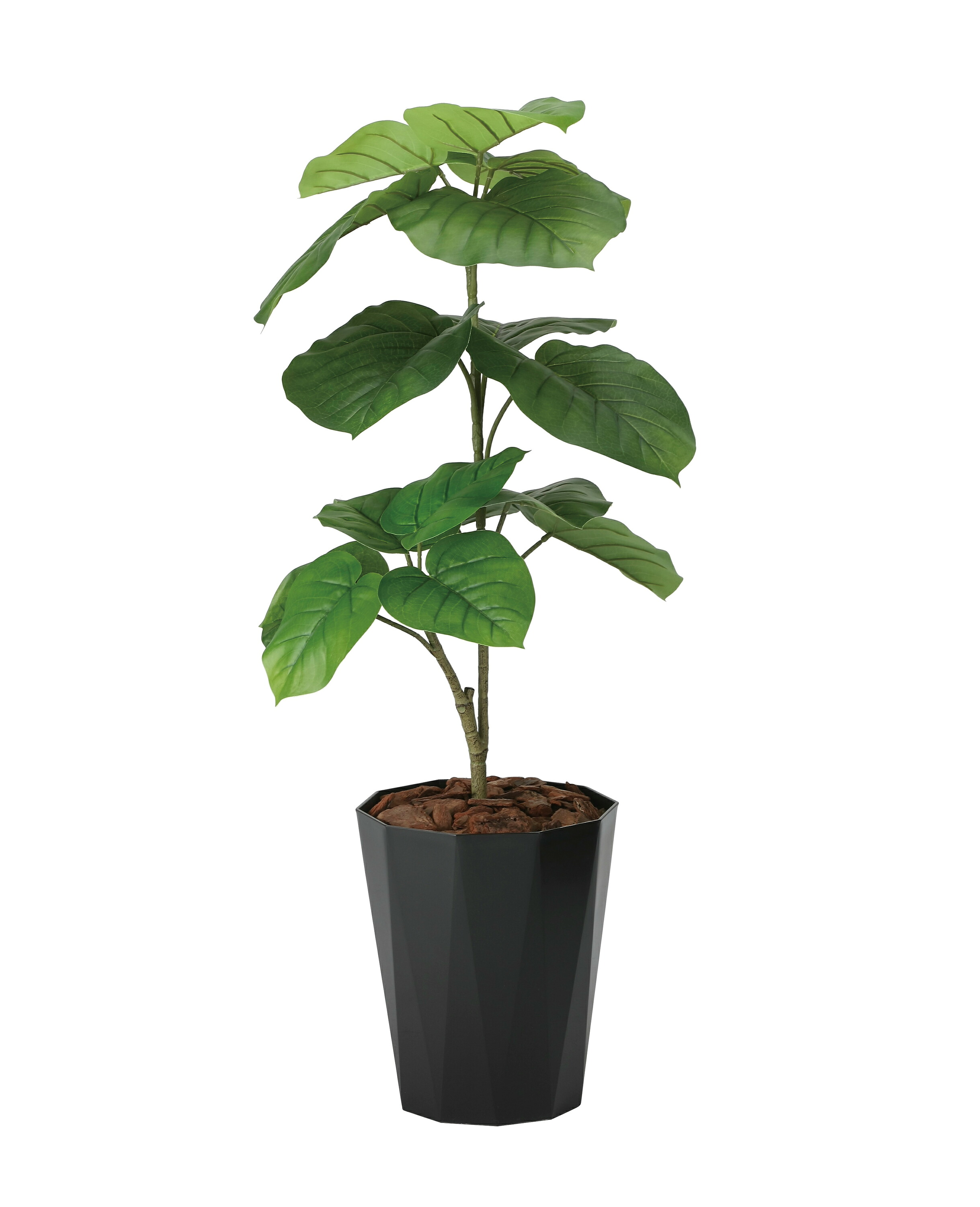 フレッシュウンベラータ1.0m 光触媒 人工観葉植物 造花 業務用 施設 オフィス 店舗 装飾 フェイク グリーン リアル 飾りフロアタイプ グリーンシリーズ ナチュラル感 リラックス 癒し 消臭 抗菌 防汚 アートグリーン|プラスワンインテリア