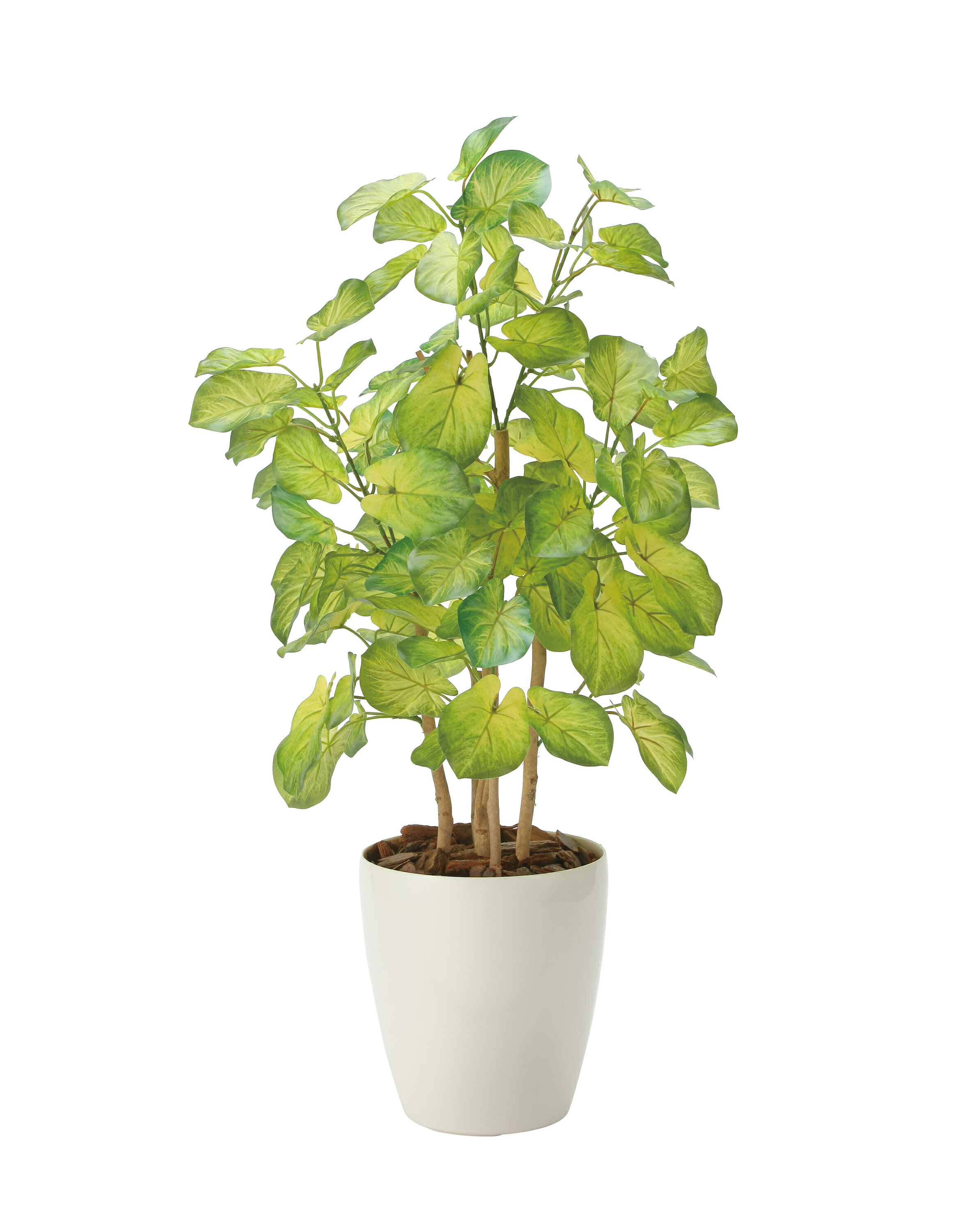 バウヒニア70cm 光触媒 人工観葉植物 造花 業務用 施設 オフィス 店舗 装飾 フェイク グリーン リアル 飾りフロアタイプ グリーンシリーズ ナチュラル感 リラックス 癒し 消臭 抗菌 防汚 アートグリーン|プラスワンインテリア