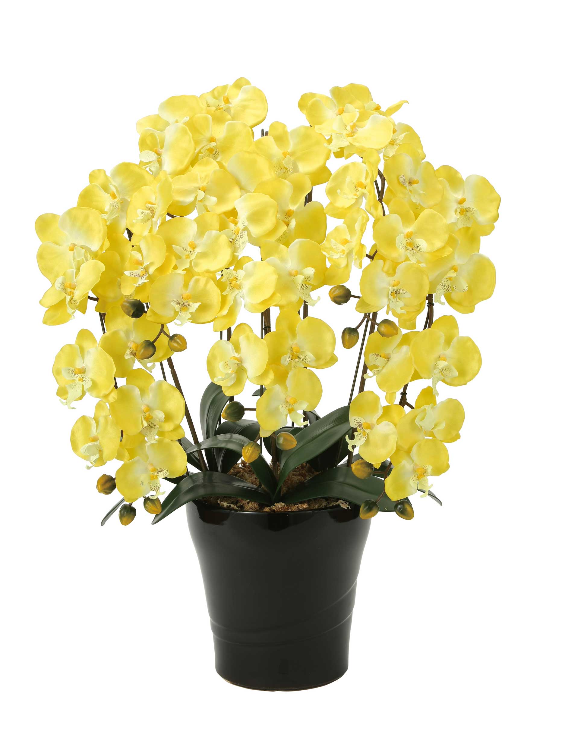 光触媒　人工観葉植物　フェイクグリーン　プレミアム胡蝶蘭5本立W/AB 楽天市場】プレミアム胡蝶蘭5本立W 光触媒 造花 フェイクグリーン 人工