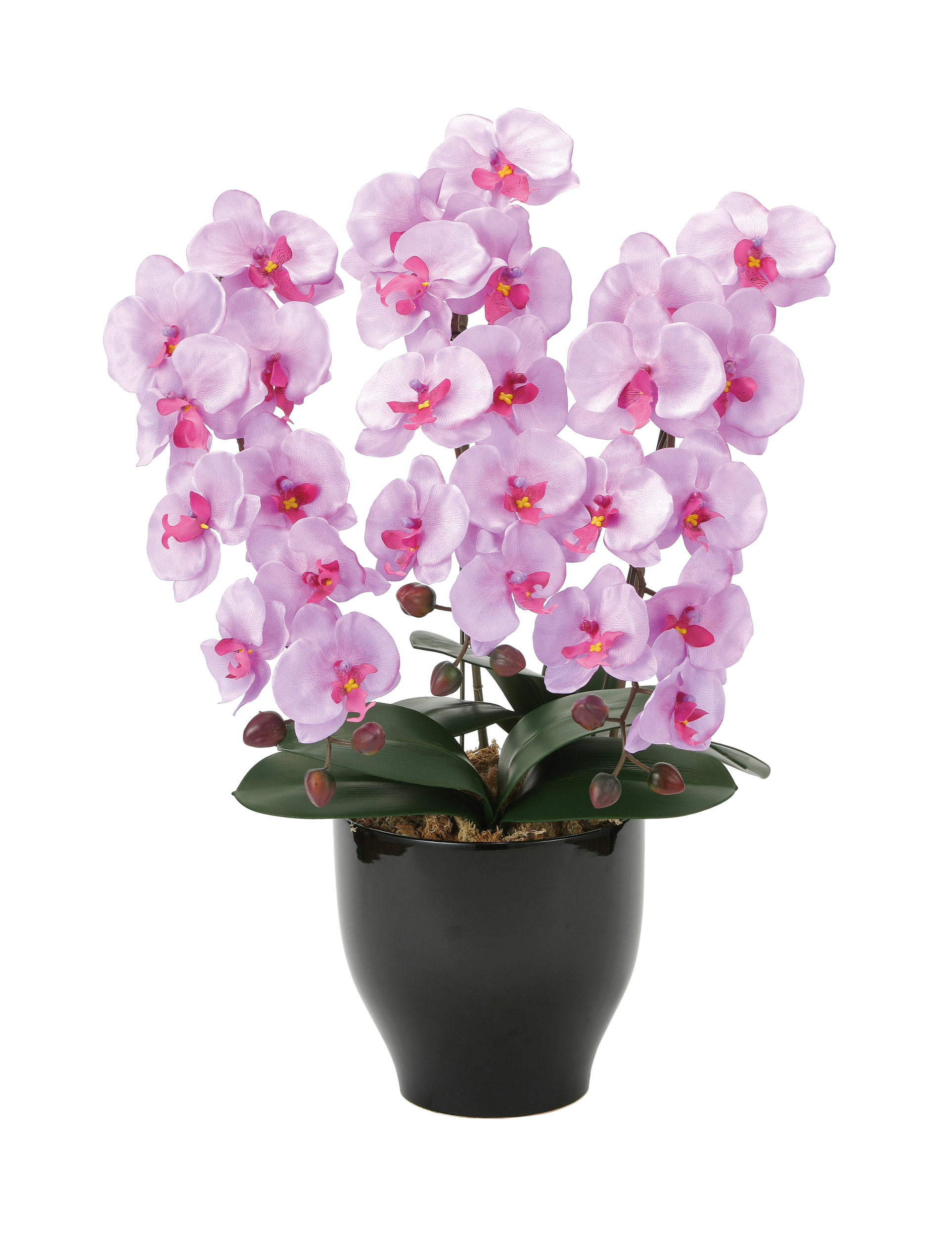 光触媒　人工観葉植物　フェイクグリーン　プレミアム胡蝶蘭5本立W 楽天市場】プレミアム胡蝶蘭5本立W 光触媒 造花 フェイクグリーン 人工