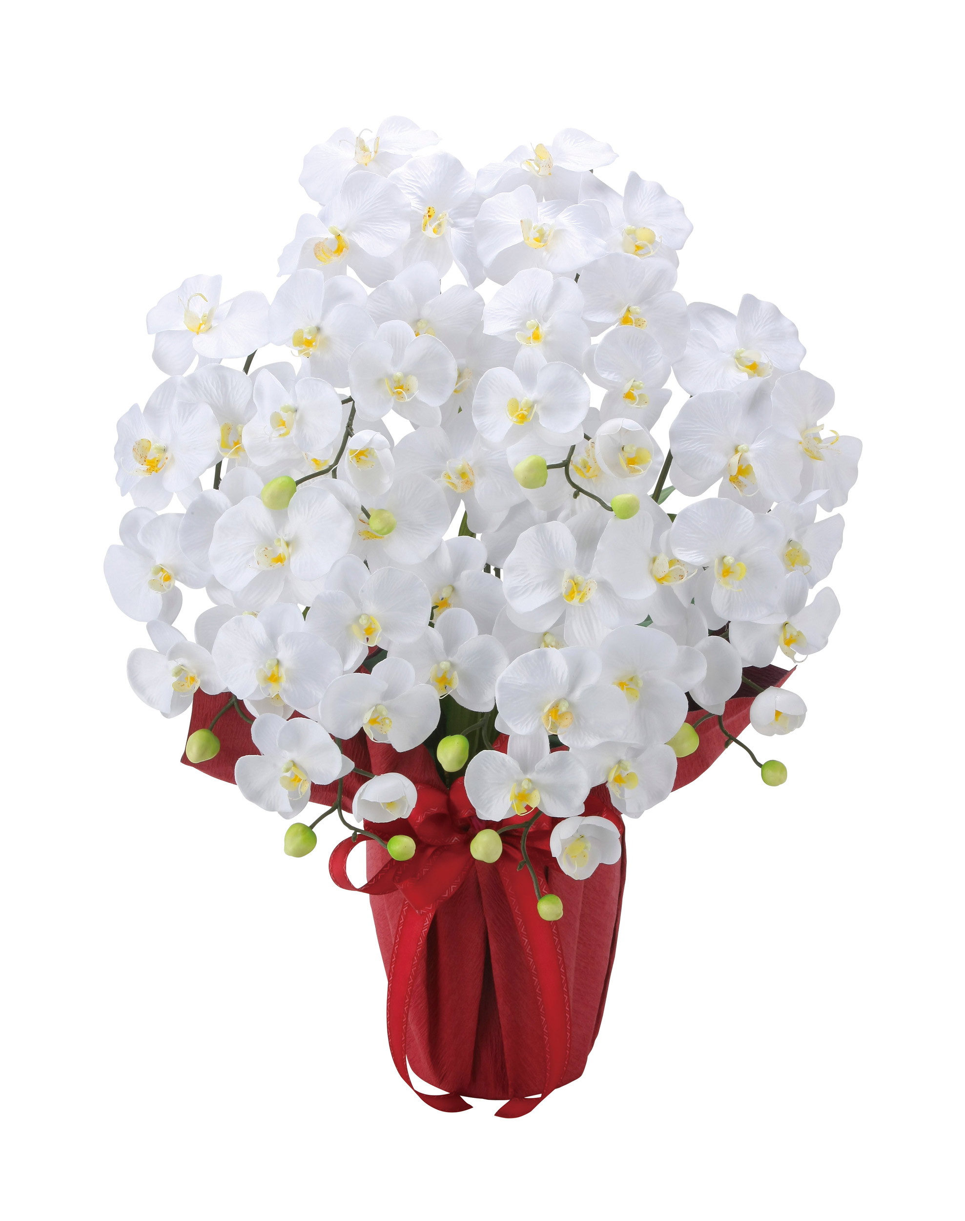 楽天市場】プレミアム胡蝶蘭 7本立W 光触媒 フェイクグリーン 造花