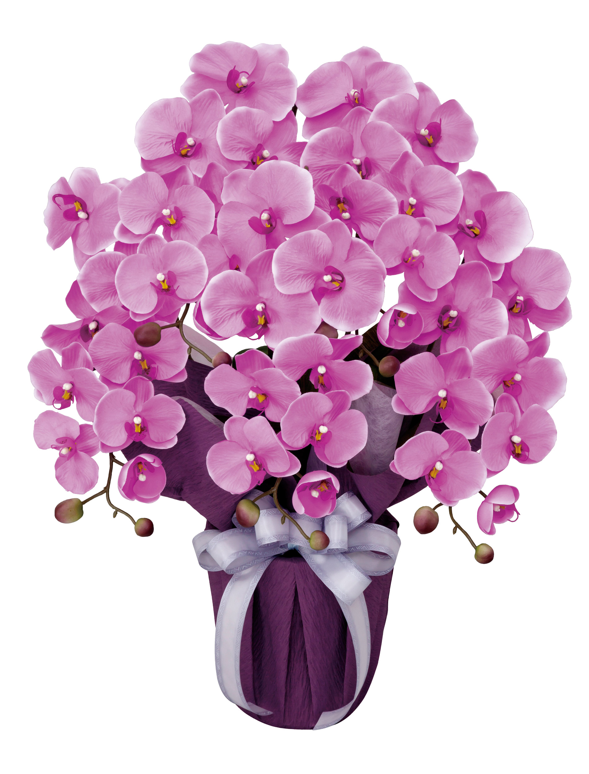 楽天市場】プレミアム胡蝶蘭 7本立W 光触媒 フェイクグリーン 造花