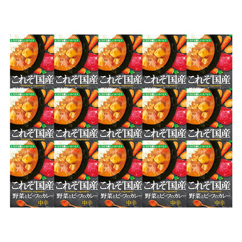 ビーフカレー 15食セット これぞ国産 K60817720 KGY100 野菜とビーフのカレー 180g×15 国産牛肉使用 国産野菜入り スパイス香る本格派 レトルトカレー ご当地グルメ 常温保存730日 保存食 非常食 お取り寄せグルメ ギフト対応 内祝い 快気祝い