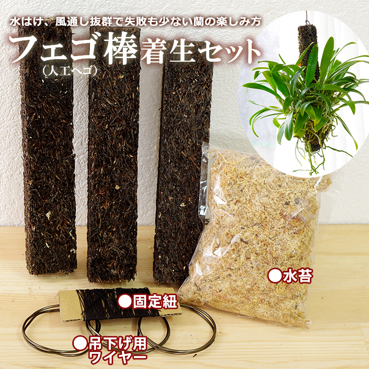 楽天市場】洋蘭栽培プロ用資材 『洋ラン「植え替え【特大セット