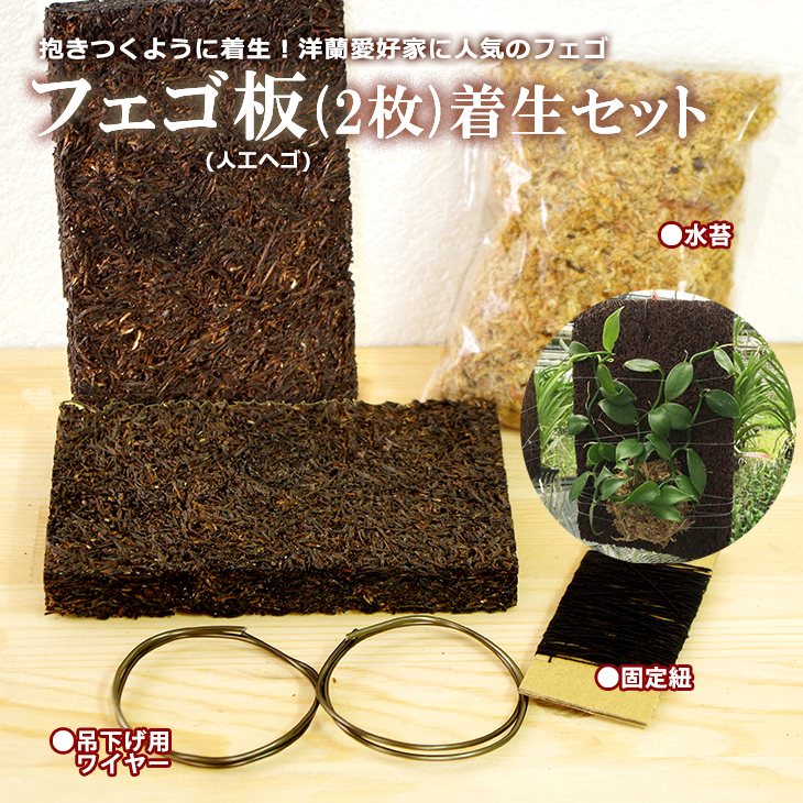 楽天市場】洋蘭栽培プロ用資材 『洋ラン「植え替え【特大セット