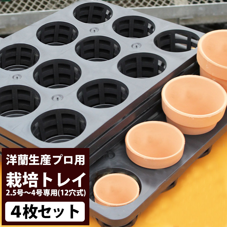 楽天市場】洋蘭栽培プロ用『「3号素焼き鉢5鉢セット」』【材