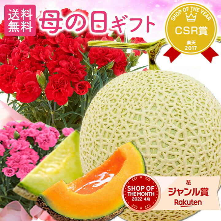 【母の日】 メロン カーネーション プレゼント ギフト 花 フルーツ『国産生花「カーネーション＆熊本メロン」』 高品質！安心の国産 5号鉢 鉢花 産地直送 赤 ピンク 果物セット 花 フルーツセット 好評 母の日2025 【贈】【母】《母》