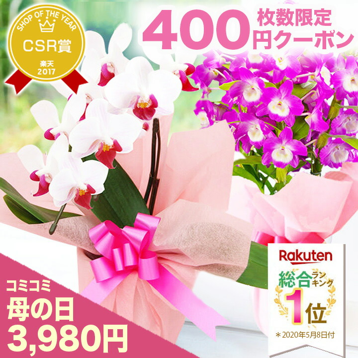 美品】D&M フォートプラントスタンド H55 グレー 6号 【公式通販】