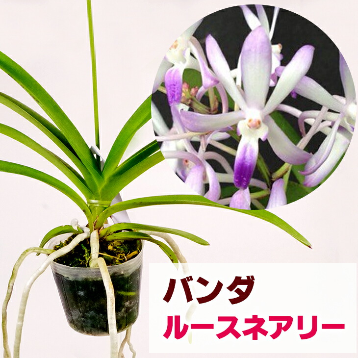 imgrc0103140414.jpg