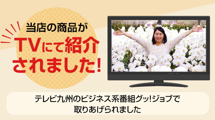 昇進祝い結婚祝い Sdgｓギフト白大輪胡蝶蘭３本立ち 寒プレゼントsdgsゴール 12を目指したサステナブルな胡蝶蘭 コチョウラン ギフト 花言葉 幸せが飛んでくる 開店祝い竹由来の鉢と竹支柱仕立てのサステナブルなコチョウランギフト退職祝いゴール 12 つくる